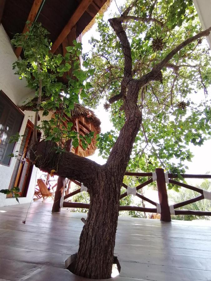 Isla Holbox Casa Mech酒店 外观 照片